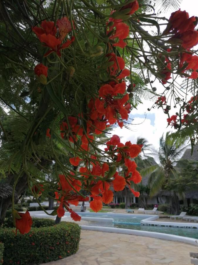Coral Key Villa Malindi Exterior foto